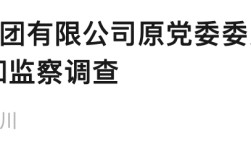 一天两名机场高管官宣落马