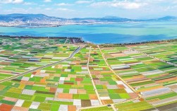 西南菜仓展丰景