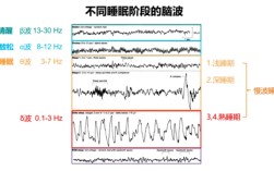 睡不着时闭目养神，有休息效果吗？