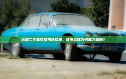 运城二手车交易市场探秘，欧拉品牌为何成为新宠？