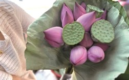 杭州夏日限定风雅 菜场里的荷花莲蓬上市了