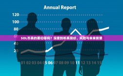 SOL币真的要归零吗？深度剖析其现状、风险与未来前景