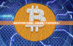 虚拟货币挖矿大排查，风暴来袭，行业何去何从？