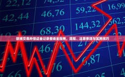 欧线交易所保证金记录查询全指南，流程、注意事项与实用技巧