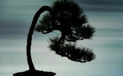 睢宁金欧二手车交易市场，您的放心之选，品质二手车聚集地