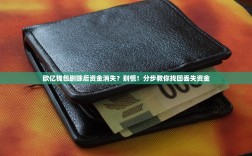 欧亿钱包删除后资金消失？别慌！分步教你找回丢失资金