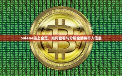 Solana链上全览，如何查看与分析全部持币人信息
