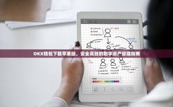 OKX钱包下载苹果版，安全高效的数字资产管理指南