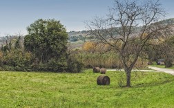 欧一所APP交亿图解全攻略，手把手教你轻松搞定