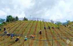 云南永德：微实事暖心窝