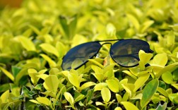 温江赛欧二手车交易市场，车潮涌动，安心之选