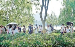 今年杭州高温天已达40天 晴热天气还将继续