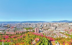 下一个五年，玉溪如何作答