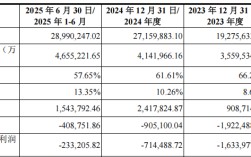 长鑫科技冲刺科创板：三年亏损超300亿元，预计最快明年盈利