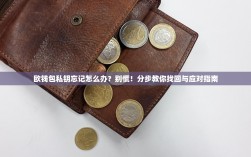 欧钱包私钥忘记怎么办？别慌！分步教你找回与应对指南