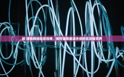 欧 钱包网络选择指南，如何连接最适合你的区块链世界