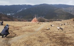 云南迪庆：“生态立州”筑牢长江上游生态屏障