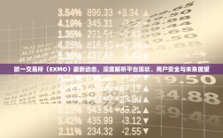 欧一交易所（EXMO）最新动态，深度解析平台现状、用户安全与未来展望