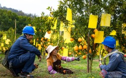 云南罗平：布依欢歌起 电力助丰登