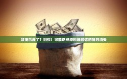 欧钱包没了？别慌！可能这些原因导致你的钱包消失