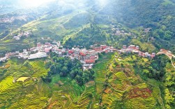 元江：梯田焕新颜 发展添动能